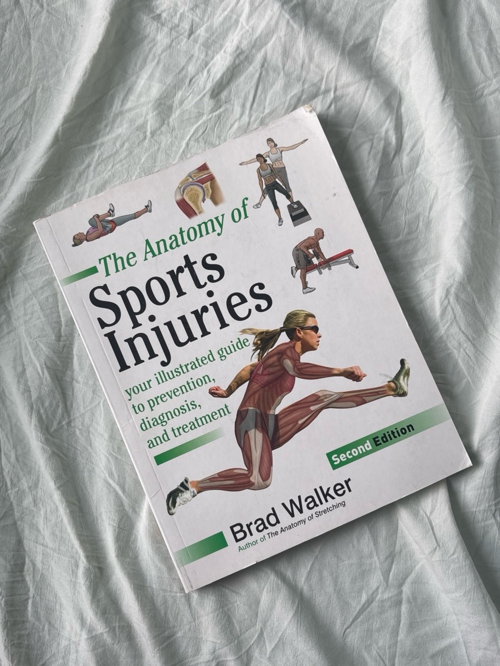 & Other Stories White and Green Illustrated Sports Injuries Book